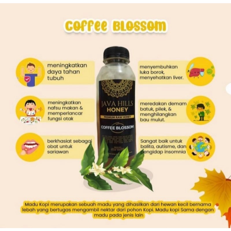 

Madu Murni 100% Coffee Blossom Row Honey Herbal Mumtaz Java Hills Premium