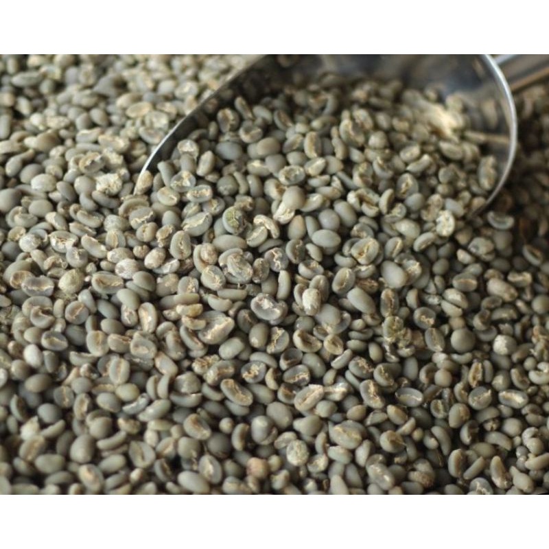 

Kopi Grade 1 Arabika Gayo 1 Kg - Green Bean Biji Mentah - Delympus Coffee
