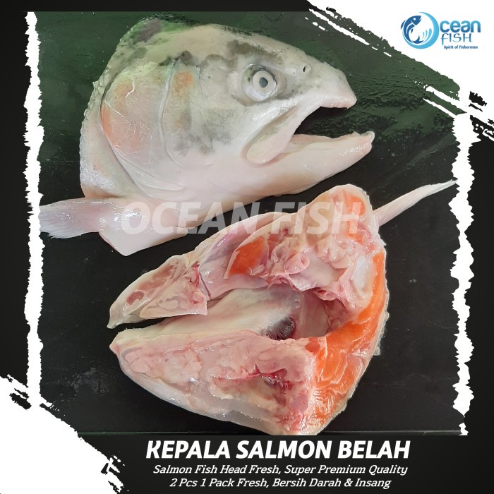 

Kepala Salmon Belah Segar - 2 Pcs 1 Pack (1 Kepala Salmon) - Salmon Belah Bersih Segar - Kepala Salmon Norway Fresh Bersih Darah - Kepala Ikan Salmon Segar Bersih
