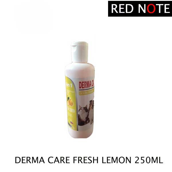 Shampoo DERMA CARE Fresh Lemon 250ml Anti Jamur Kutu