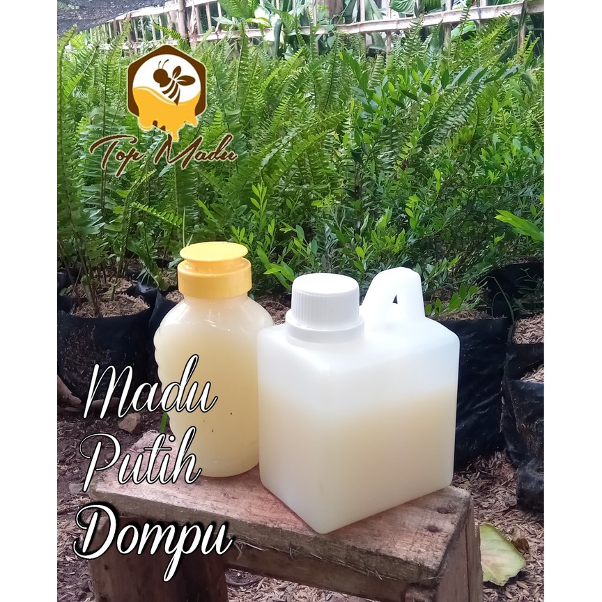 

Madu PutihCurah1/2kg - MMD2222