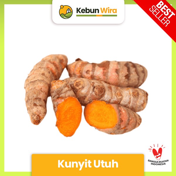 

Kunyit Utuh | Tumeric Whole 1kg