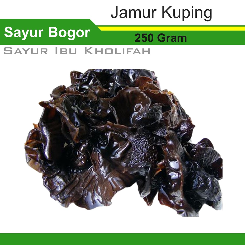 

Jamur Kuping Basah 250 Gram Sayur Sayuran Online Segar Bogor Freshmart