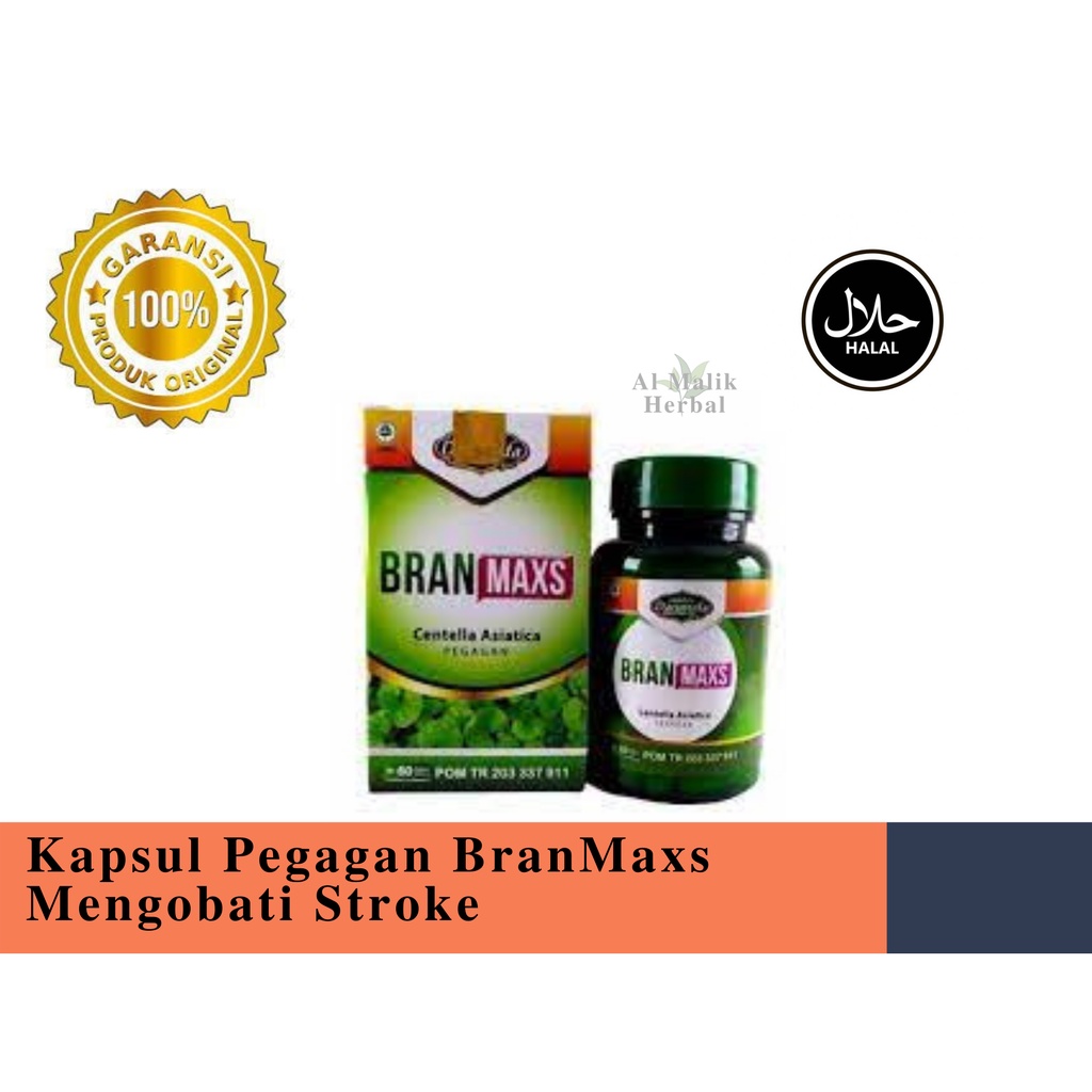 Kapsul Pegagan BranMaxs Mengobati Stroke/ Stretch Mark