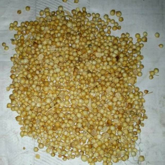

Ketumbar Ketuncar Kuning Kualitas Super No.1
