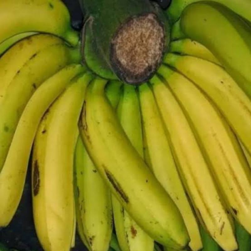 

Pisang Ambon super 1 sisir
