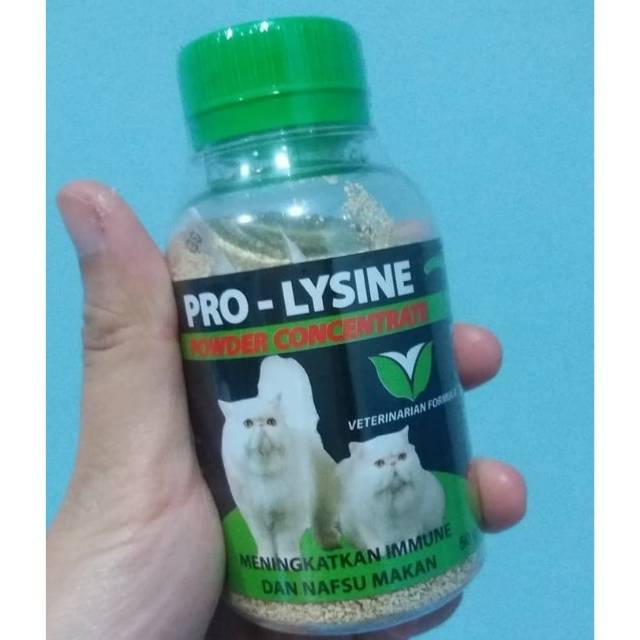 Pro lysine cat vitamin kucing - prolysine  Kucing