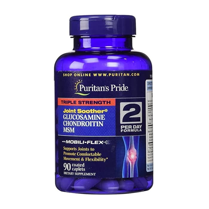 Puritans Puritan Glucosamine Glukosamin Chondroitin msm Puritan's 90