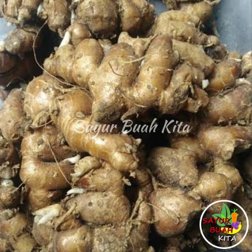 

Kencur Bumbu Dapur 100gr