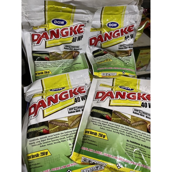 Dangke 40wp 250gr