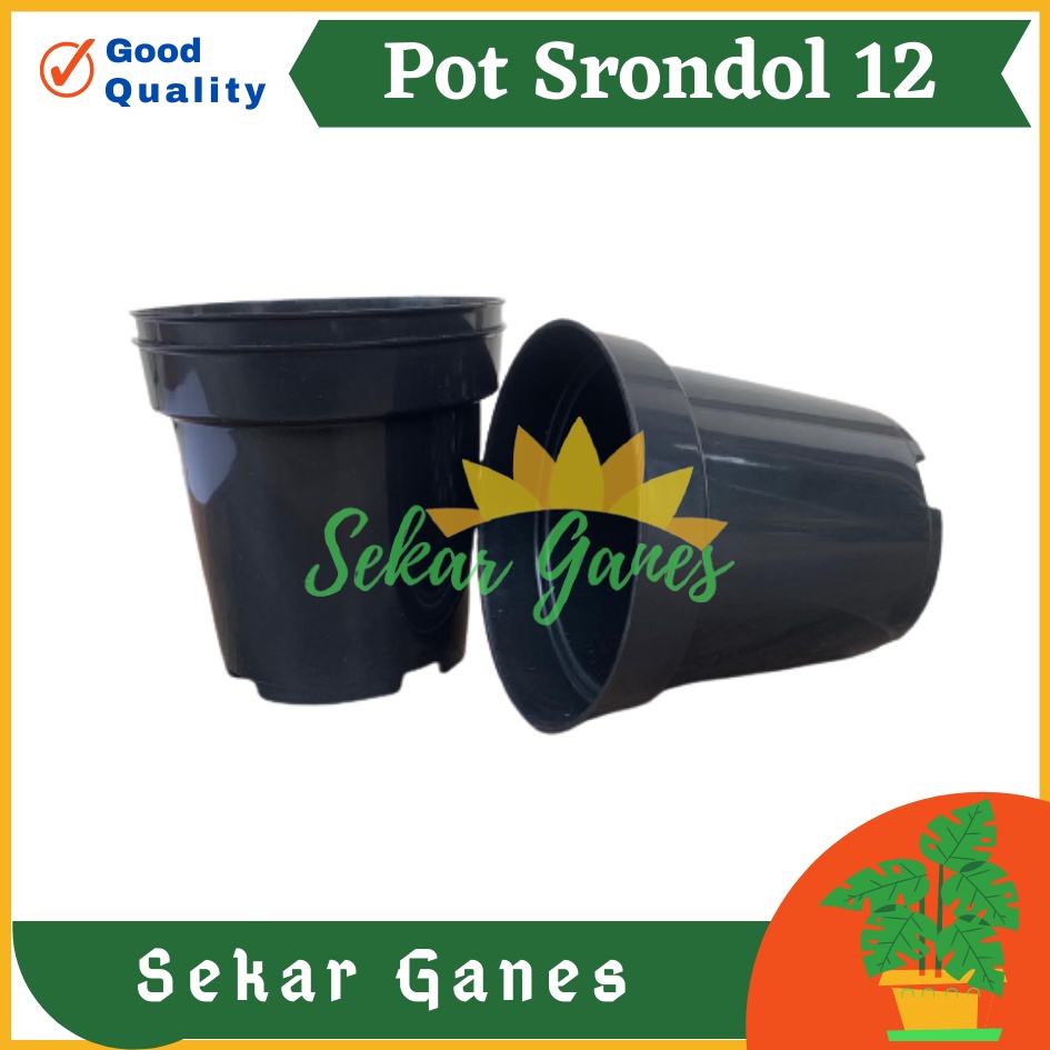 Pot Tinggi Srondol 12 HITAM - Pot Tinggi Usa Eiffel Effiel 18 20 25 Lusinan Pot Tinggi Tirus 15 18 20 30 35 40 50 Cm Paket murah isi 1 lusin pot bunga plastik pot tanaman Pot Bibit Besar Mini Kecil Pot Srondol Pot Bunga Tanaman Termurah Bahan Baguss