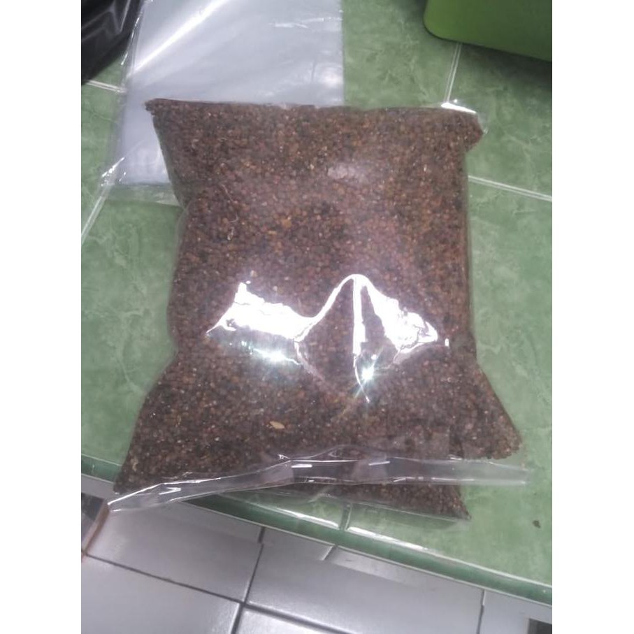 PUSAT BENIH TERLENGKAP. BENIH PJ (PUERARIA JAVANICA) SE SHOPEE JAKARTA.