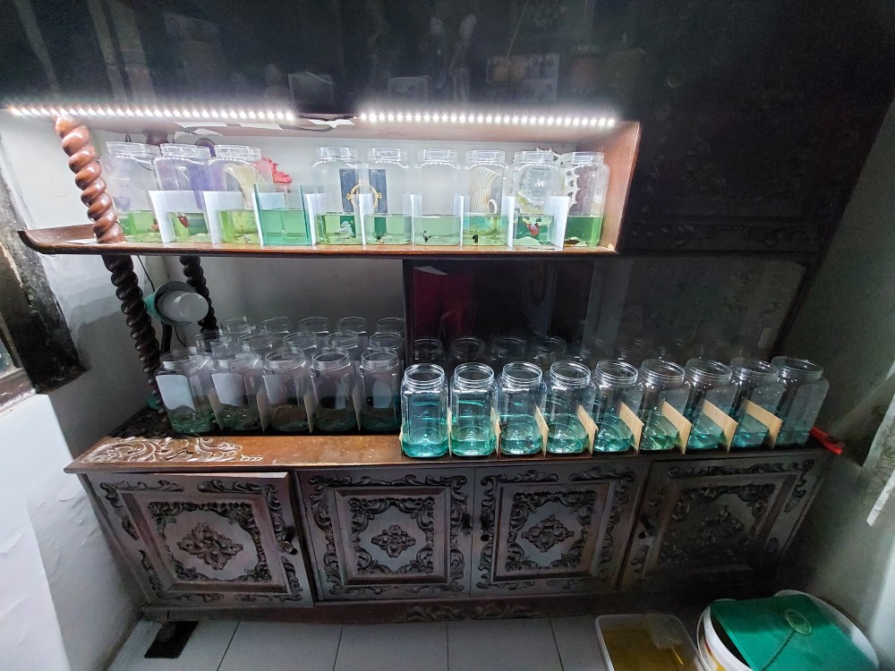 Toples Plastik 2 Liter Kotak (sudah Termasuk Tutup)