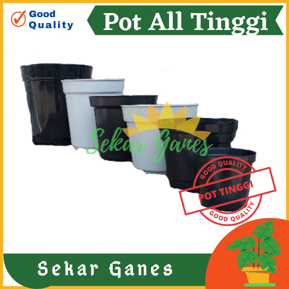 Sekarganes Pot Tinggi 8 10 12 15 18 20 25 Hitam Putih Pot Pirus Tirus Putih 10 12 13 15 18 20 21 24 25 Pot Tinggi Plastik Putih Besar 20 30 50 Cm Besar Murah