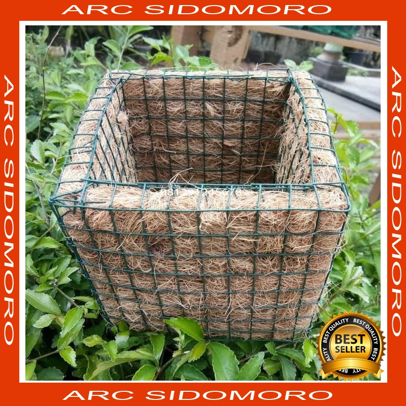  Pot bunga anggrek bulan  cathlleya mm Shopee Indonesia