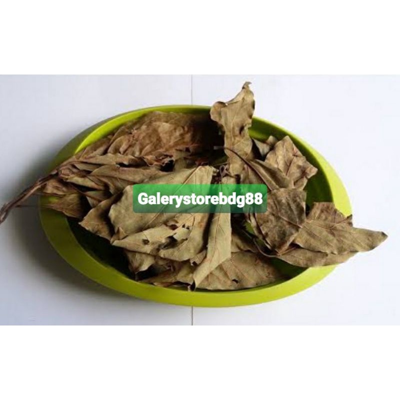 

Daun alpukat kering 200 gram / daun buah alpukat