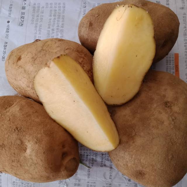 

Kentang kuning Dieng