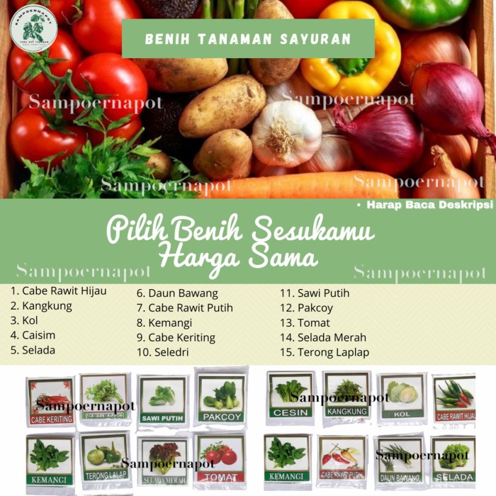 Benih bibit tanaman sayuran organik eceran repack - bibit sayuran