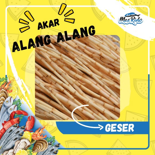 

Akar Alang Alang Obat Herbal Tumbuhan Akar Alang Alang Segar Murah