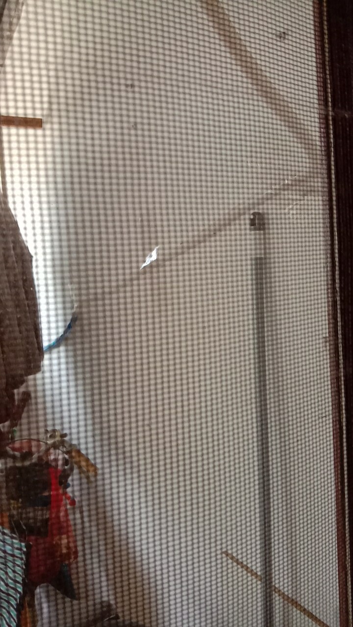 Eceran Insect Screen Net Hijau. Jaring Kasa Mesh Anti Nyamuk Dan Hama Serangga Greenhouse