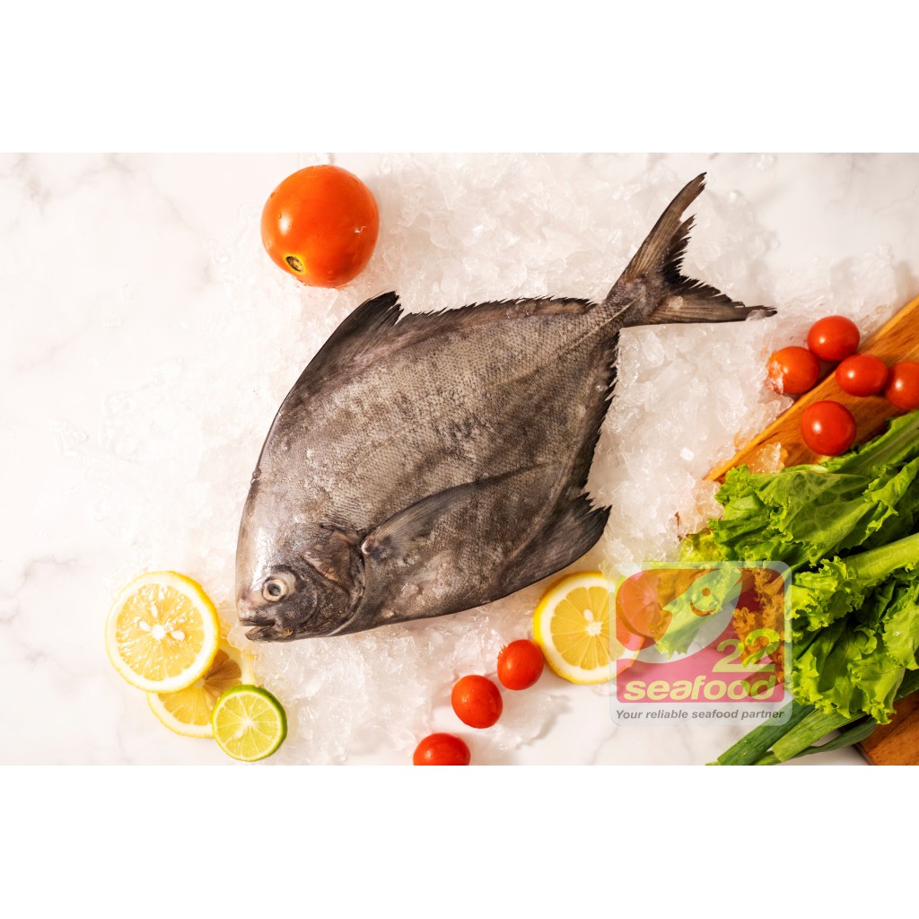 

Ikan Bawal Laut 1 kg isi 2-5 ekor / Bawal Hitam / Seafood 22