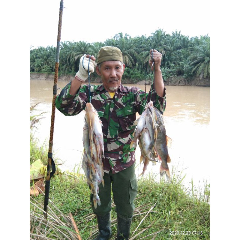 KUCUR BAUNG BINJAI  1kg kemasan 200g