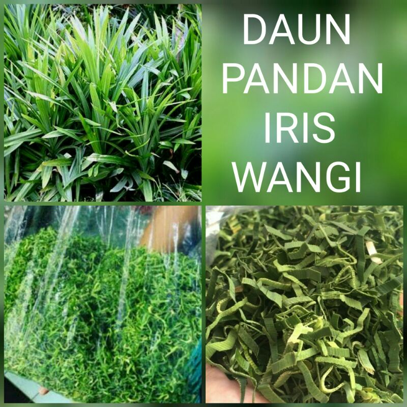 daun pandan iris dekorasi/kedukaan 500 gram