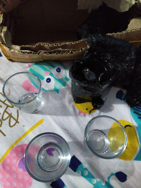 ✨ppalgan✨ Kedaung Gelas Sloki Pht-03 50ml  / Gelas Espresso Gelas Mini Variasi 3