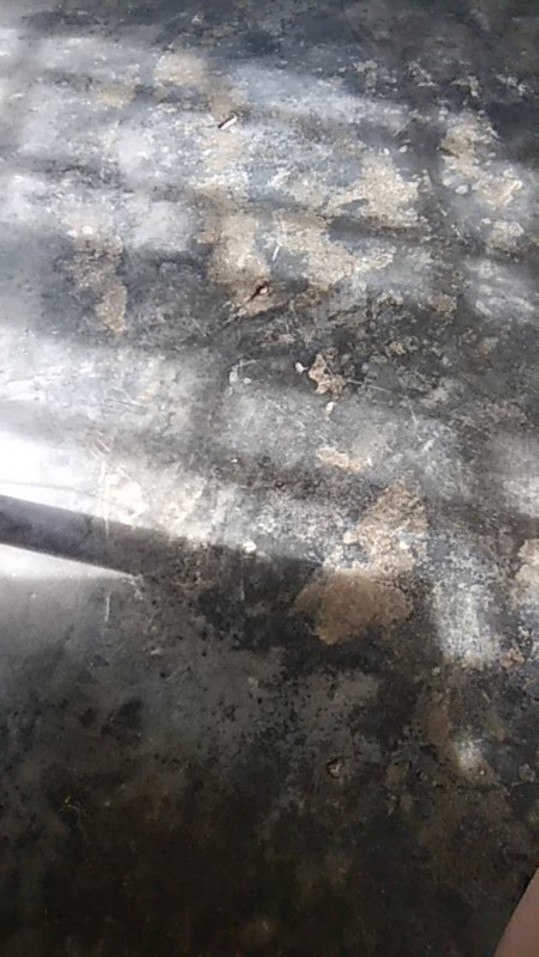 Tongkat Spons Pembersih Botol Serbaguna Termurah!!! Busa Pembersih Botol / Spoon Cucian