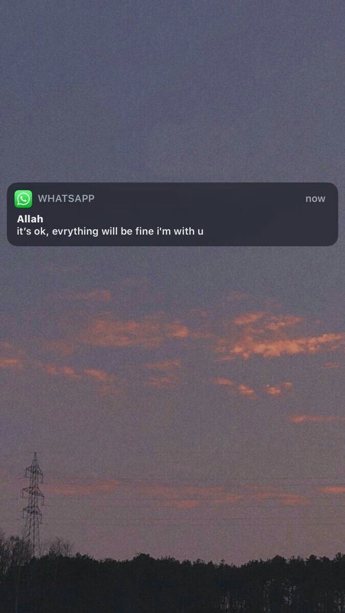 Sedotan Plastik Bening Bengkok Isi @50 Pcs Panjang 24cm Bahan Murni 100%