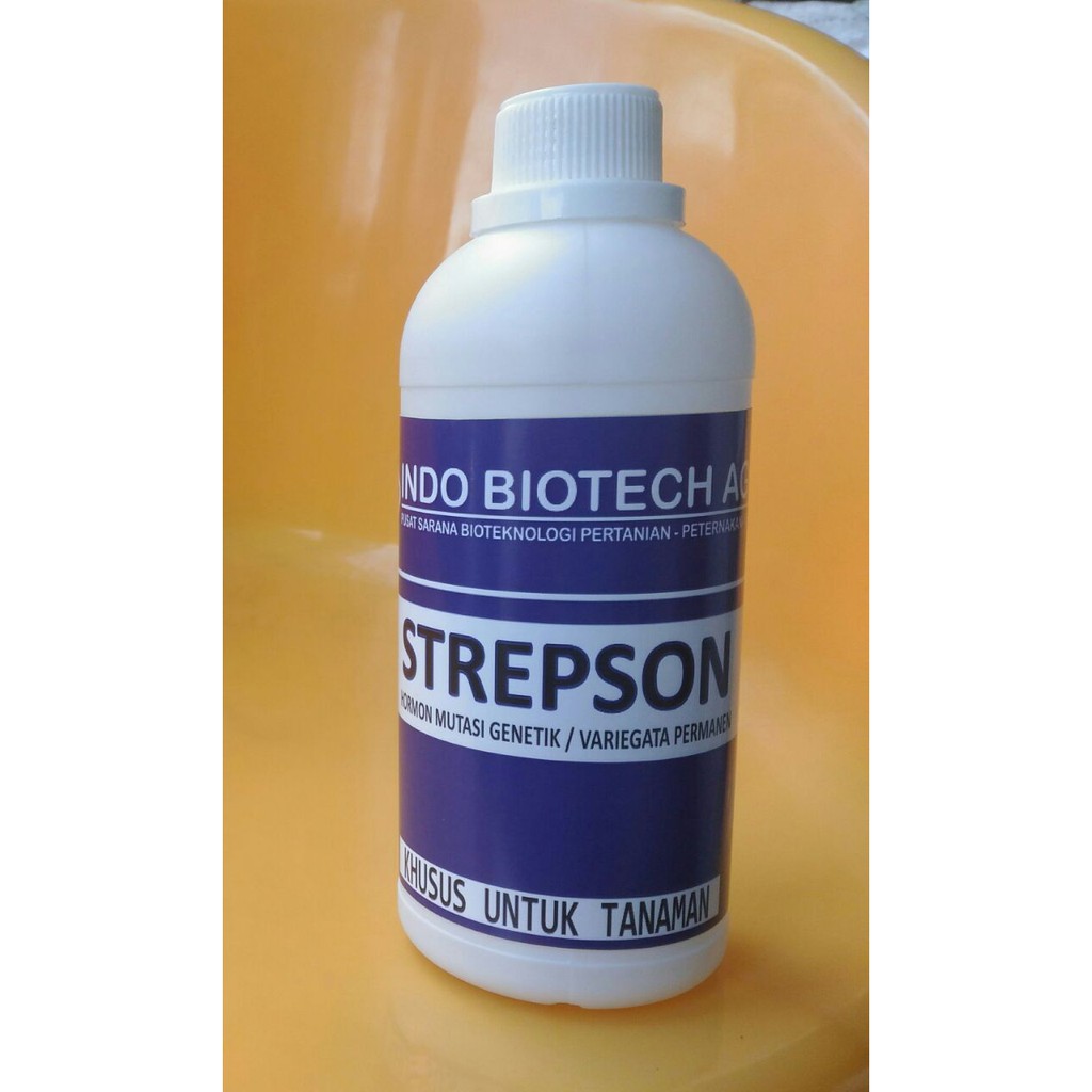 Strepson 500 ml