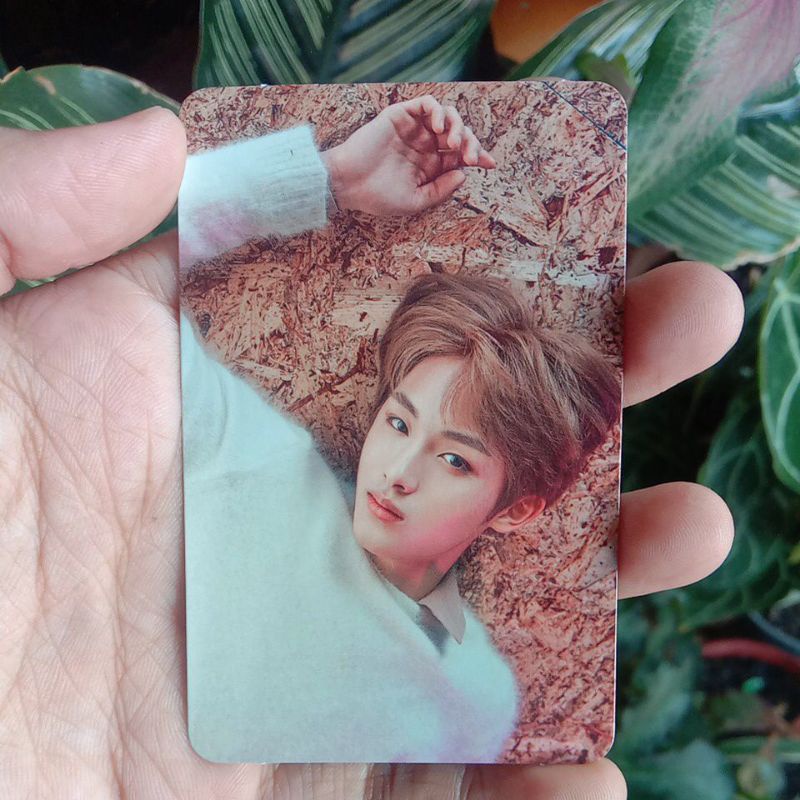 photocard PC winwin fanparty 2018