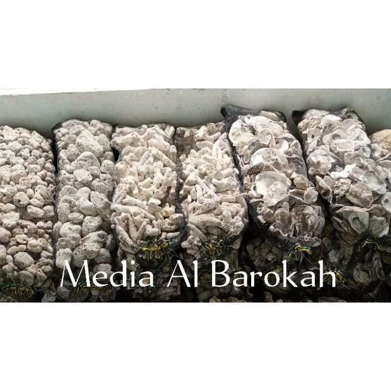 Terlaris paket lengkap media filter kolam ikan koi termurah Best Seller