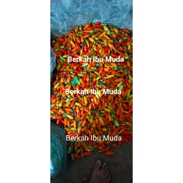 

Cabe Rawit Merah 250 gram