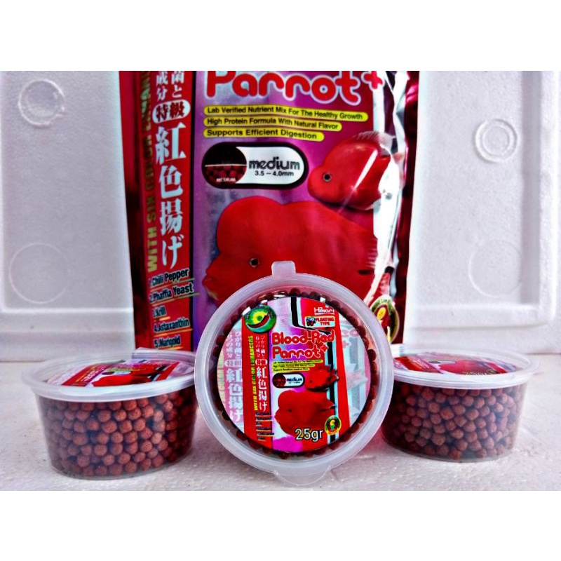 HIKARI BLOOD-RED PARROT ( MEDIUM