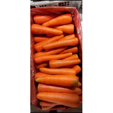 

RB wortel brastagi 1 dus isi 10 kg