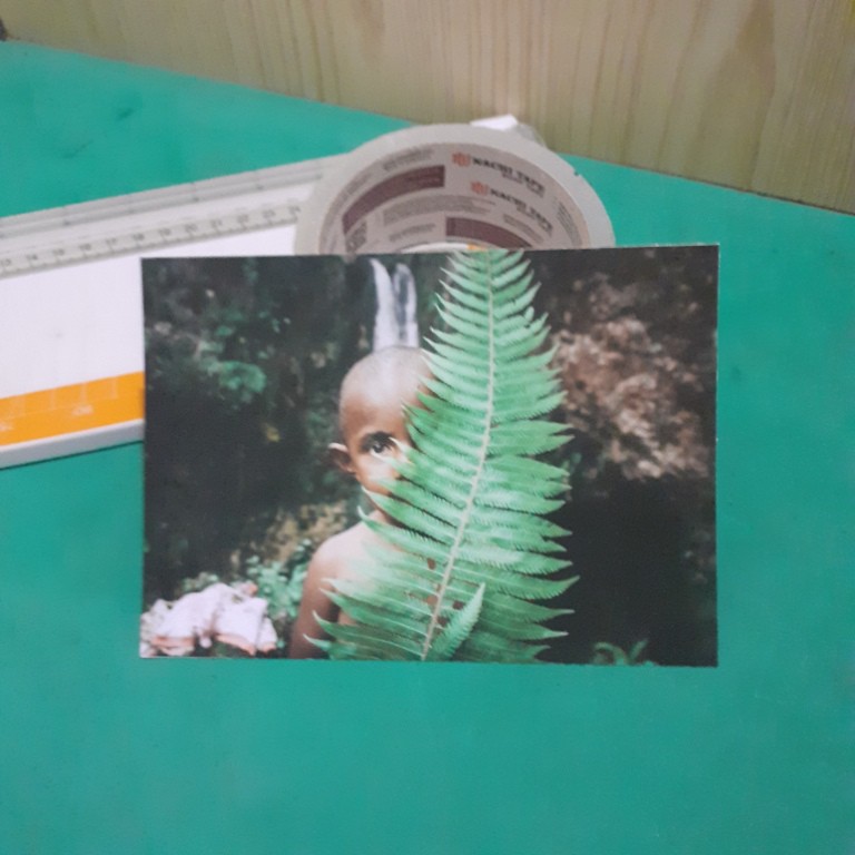 

[A-29] Kartu Pos/Postcard Bocah Hutan