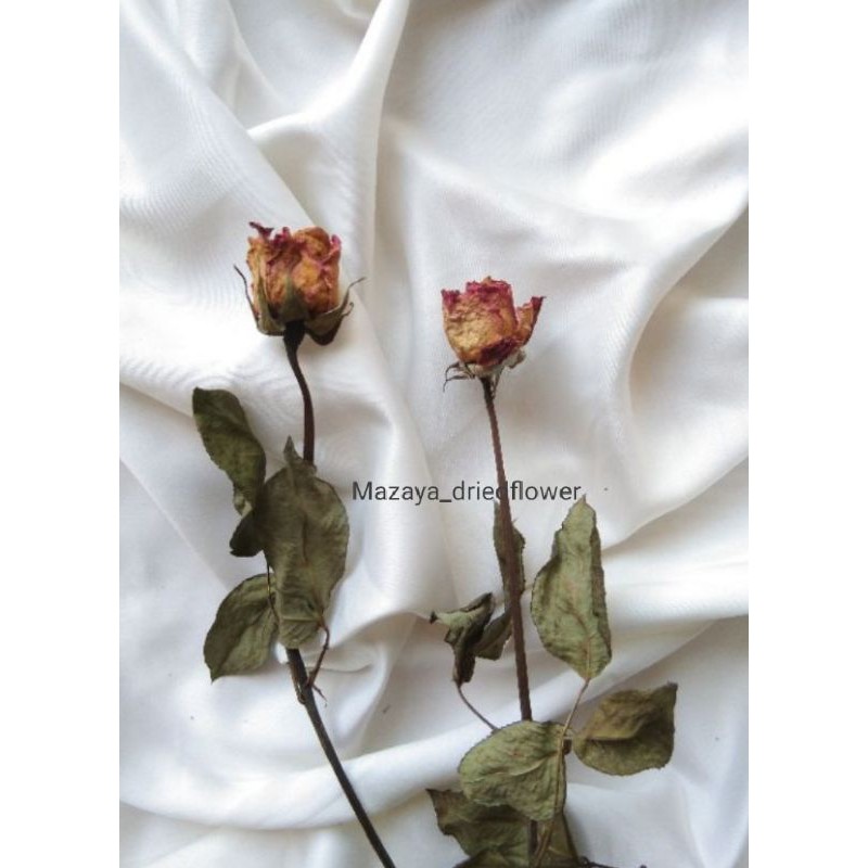 bunga mawar Kering / dried flower rose / bunga kering