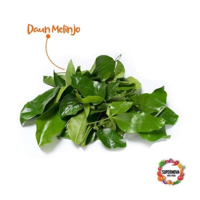 

Daun Melinjo [1 Pack]