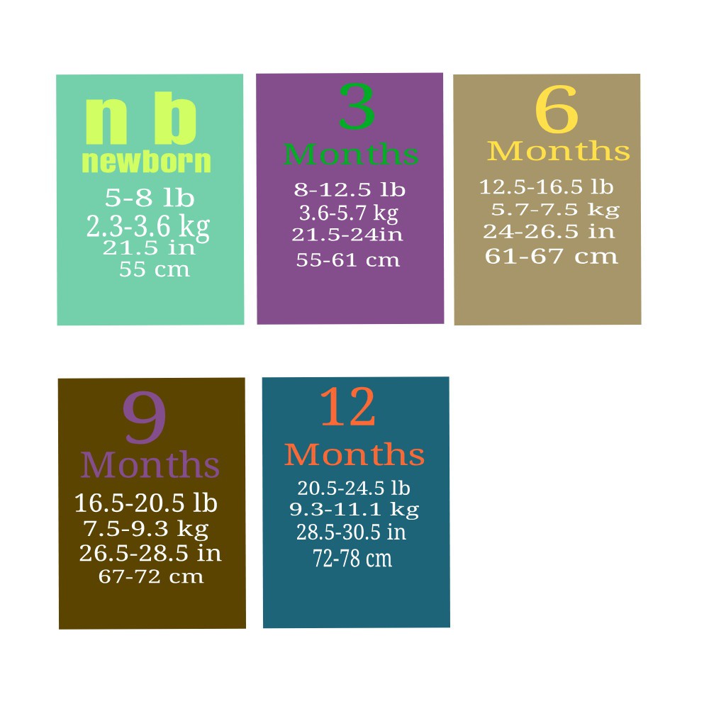 Jumper Lengan Pendek | Jumper Bayi 5 in 1
