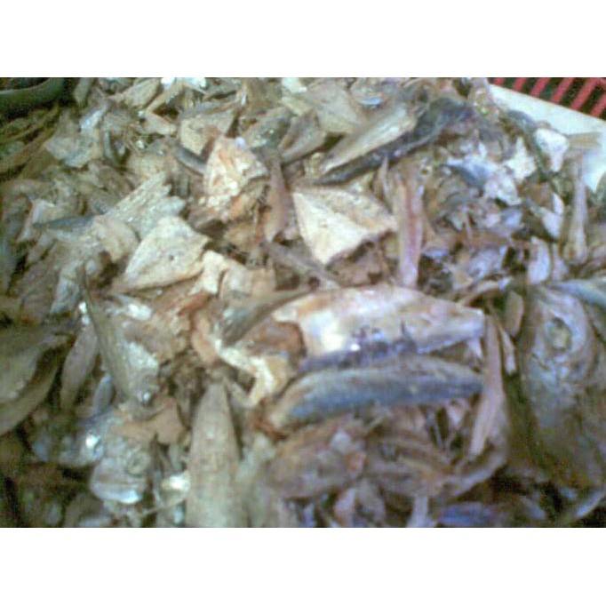 

Ikan Sampah Campur