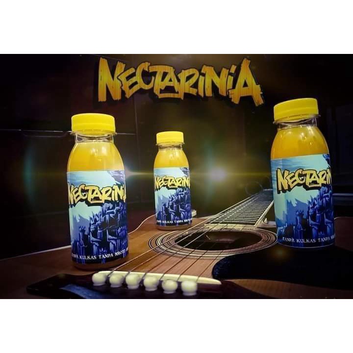 NECTARINIA NASTY NEKTAR NECTAR SUPER PAKAN MAKANAN MINUMAN BURUNG KONIN KOLIBRI NINJA SOGON SEPAH RA