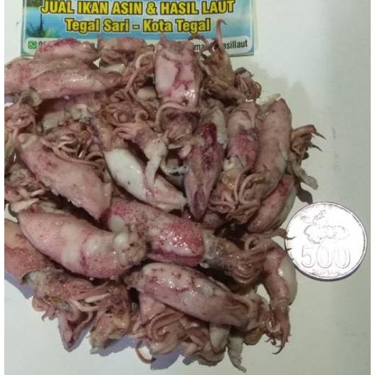 

Gratis Ongkir!! KODE-770 Cumi Asin Telor Rebus 250gram 3-5cm