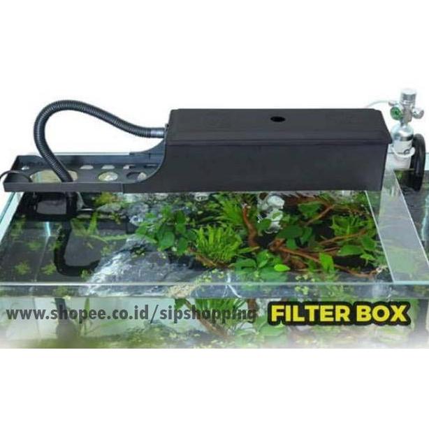 [TLI.01Jl22n] Box filter aquarium, filter aquarium, tempat filter aquarium, filter box aquarium, wad