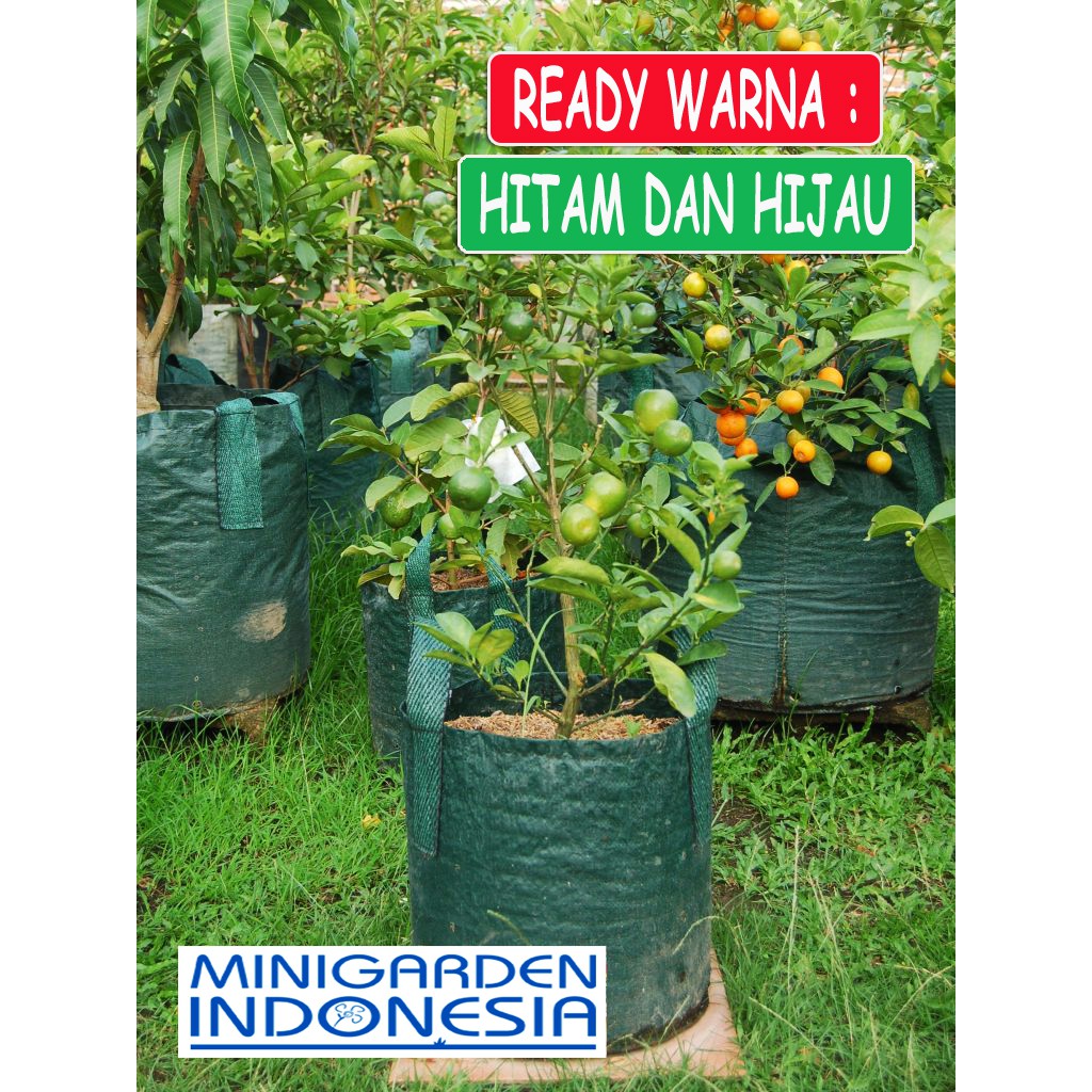 Planter bag 30 Liter EASY GROW planterbag 30liter easygrow kantong Pot polybag semai benih bibit Tanaman bunga sayuran buah planter bag