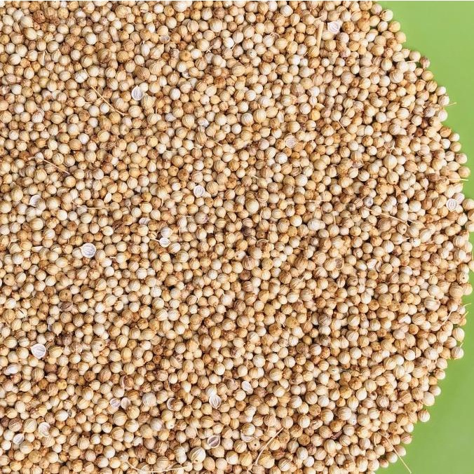 

Ketumbar Bulgaria Kuning / Corriander Seed 1 Kg