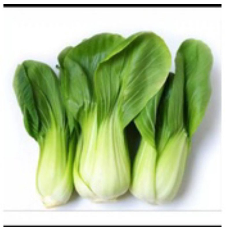 

AYUR POPCAY SEGAR 500GR KAK