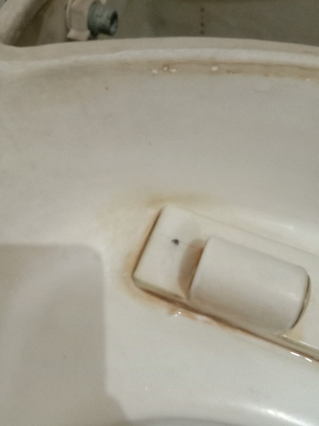 Topron Pembersih Kerak