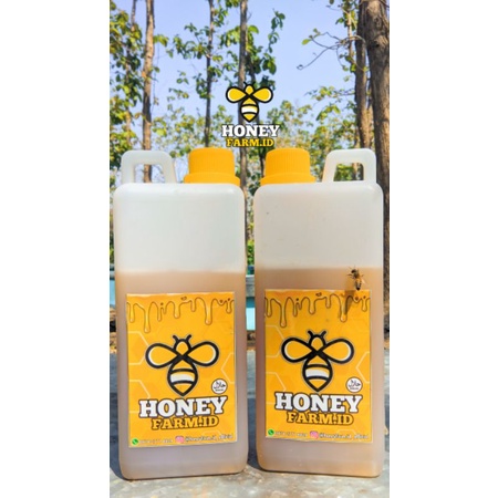 

Madu Murni Asli Lebah Apis Mellifera 100% Raw Honey