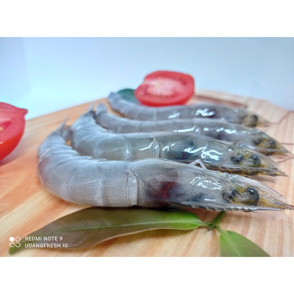 

Udang Vaname Fresh Size 50an